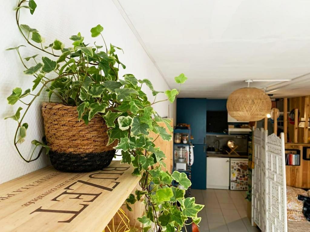 Grand studio avec terrasse à 100m du Vieux Port La Rochelle  Esterno foto